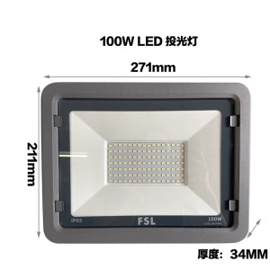 佛山照明LED投光灯 100W大功率泛光灯 防水户外照明广告牌照射灯