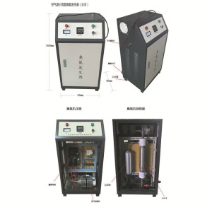30g空气源臭氧设备空间杀菌消毒水处理泳池用杀菌除异味