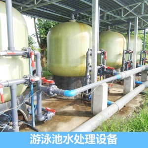 汐汐定制大型游泳池游泳馆浴场大池水处理设备循环过滤器净化系统
