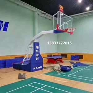 室内外儿童篮球架青少年小学生成人升降篮球架电动手动液压篮球架