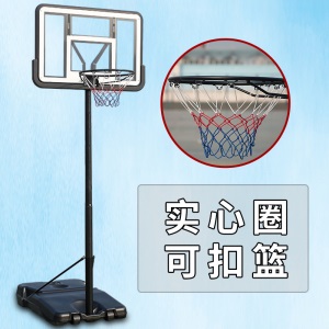 室内可升降儿童篮球架家用篮筐幼儿成人训练青少年户外移动篮球框