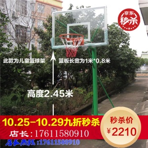成人户外带轮可移动式标准篮球架室外固定地埋式篮球架社区篮球框