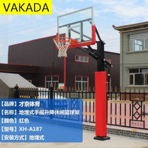 【精选优品】室外篮球架可移动成人家用青少年训练标准仿液压独臂篮球架户外