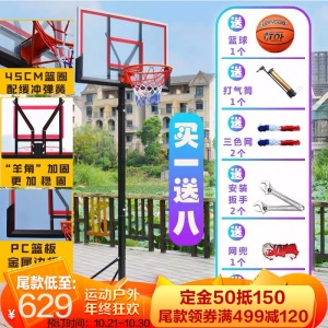 双航篮球架成人标准可升降移动户外训练器材装备家用儿童青少年篮球框