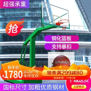 篮球架户外标准成人移动篮球架成年家用学校训练篮球架子