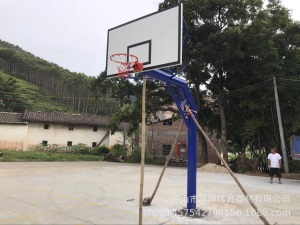 供独臂埋地式透明板球架 云浮学校篮球架 广东佛山220圆管篮球架