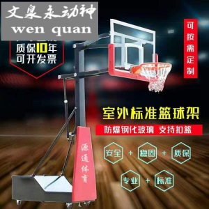 【京选好物】蓝球架室内蓝球架篮球框成人家用篮球架儿童成人青少年可升降移动标准胶条挂式防撞