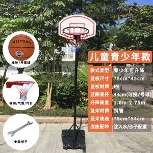 移动篮球架篮板儿童室内篮球框成人升降篮户外可扣青少年蓝球架