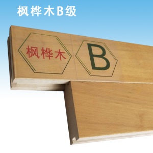 篮球场馆运动木地板室内综合场馆体育运动馆室内羽毛球场木地板