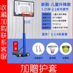 篮球架儿童户外室内篮球成人青少年可升降移动小孩篮框训练家用