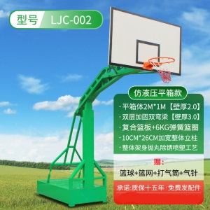 投篮篮球架家用室内篮球架户外标准可移动成人蓝球架落地式定制