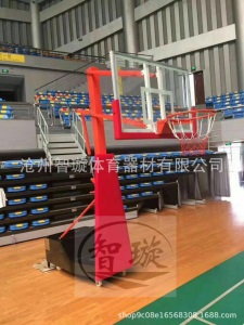 厂家定制 儿童升降篮球架 可升降篮球架 可移动式青少年篮球架