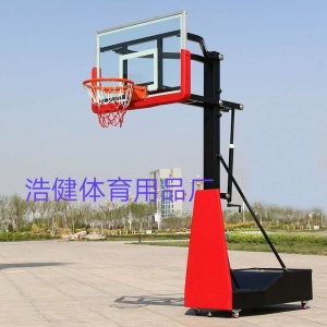 篮球架成人儿童标准户外运动家用移动篮球架室外篮球框可升降训练
