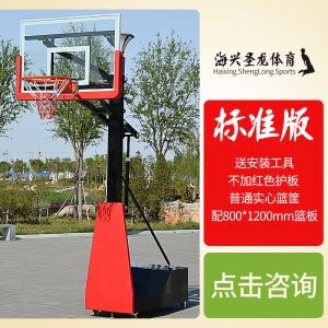儿童家用标准球架青少年篮球架室内比赛用可移动升降扣篮球框