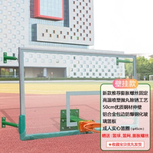 标准成人户外可移动落地式篮球架箱式学校比赛成人训练篮球架子