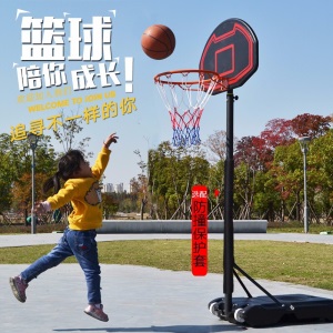 MDUNK 青少年儿童室内家用篮球架户外可升降移动成人标准铁质篮球圈