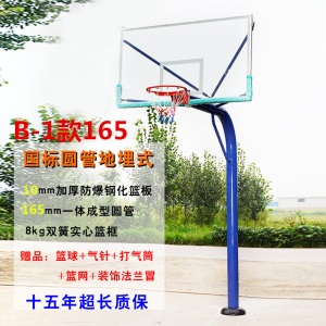移动篮球架户外成人学校家用训练比赛标准室外可升降落地式篮球架F 蓝色