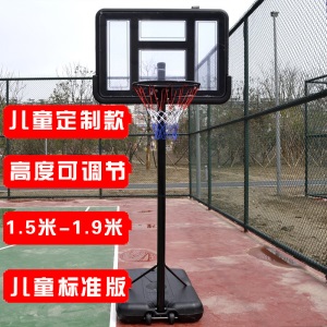 乃力 标准篮球架 可升降篮球框移动简易篮球架 家用户外儿童 标准版