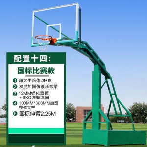 篮球架成人标准户外移动蓝球架家用学校训练篮球架子篮球框绿色大箱篮架