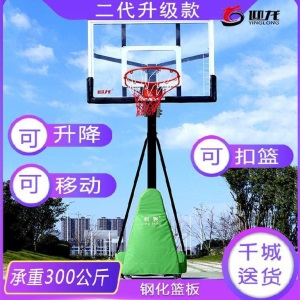 投篮篮球架升降框家用篮球架可小孩儿童室内移动户外青少年大人。