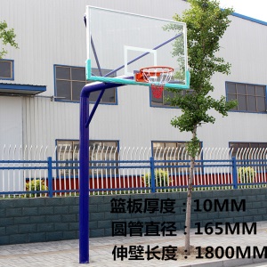 篮球架 成人标准 移动 固定 埋地式  圆管 学校  户外室外篮球架