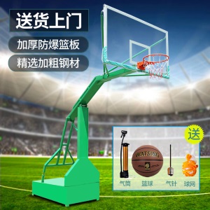 健伦 【送货上门】篮球架成人标准移动家用可升降学校公园户外室内标准篮球架