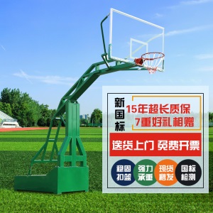 户外篮球架 成人家用可升降 标准训练学校公园户外 加重加粗 可移动篮球框