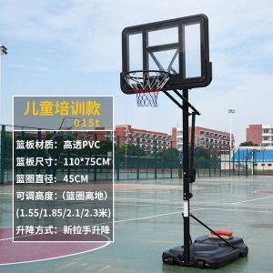 儿童篮球架户外幼儿园可升降家用训练室内小篮球框青少年篮筐球架