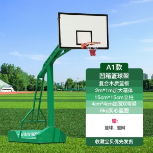 篮球架成人家用训练室外专业标准成年可移动篮球框户外蓝球架