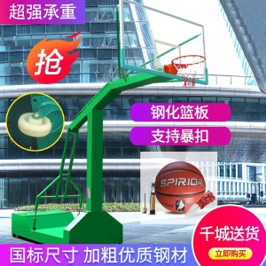 篮球架户外标准成人移动篮球架成年家用学校训练篮球架子