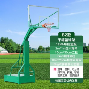 篮球架成人家用训练室外专业标准成年可移动篮球框户外蓝球架