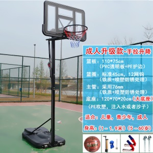 篮球架成人家用学校运动户外幼儿园可升降移动室内青少年儿童训练