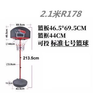 儿童篮球架成人室内外篮球框可升降家用标准篮框可移动式户外7号