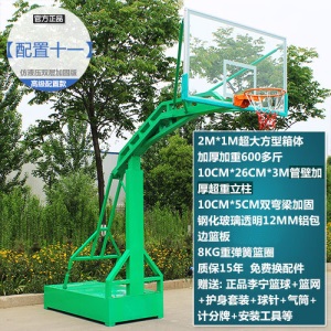 移动篮球架成人户外篮球架家用训练比赛标准蓝球架落地式室外成年