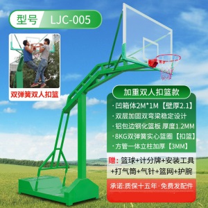 投篮篮球架家用室内篮球架户外标准可移动成人蓝球架落地式定制