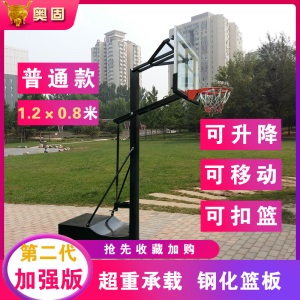 儿童成人标准户外运动可升降移动篮球架落地款篮球框成年家用学校