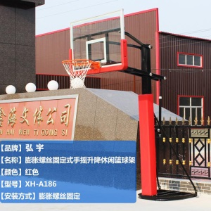 篮球架户外成人室外室内家用儿童青少年比赛标准可移动升降篮球框