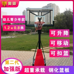 儿童成人标准户外运动可升降移动篮球架落地款篮球框成年家用学校