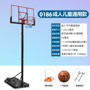 成人蓝球标准架升降可户外框家用投篮室外可篮球架移动青少年儿童