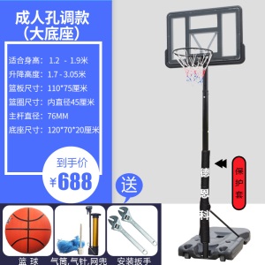 篮球架户外家用成人标准儿童幼儿园室内外可移动升降青少年投蓝筐