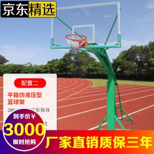 篮球架 户外标准家用室内可升降移动篮球架梯式凹箱篮球框成人成年人青少年学校公园小区社区运动健身器材