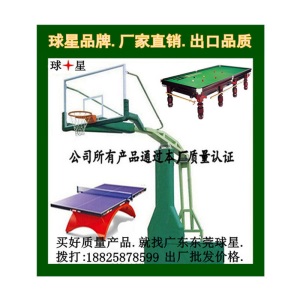 球星品牌篮球架成人篮球架平箱式篮球架室外移动式校园蓝球架