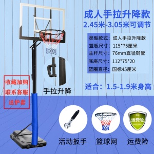 篮球架儿童户外室内篮球成人青少年可升降移动小孩篮框训练家用