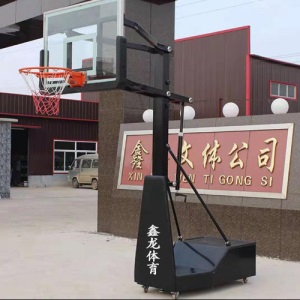 投篮篮球架青少年家用室内篮球成人户外训练比赛专业儿童标准篮框