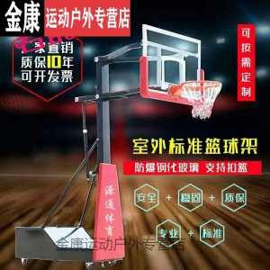 蓝球架室内蓝球架篮球框家用篮球架儿童青少年可升降移动标准胶条挂式防撞