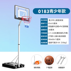 一件代发篮球架青少年儿童室外家用小孩可升降可移动户外成人蓝球
