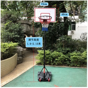 篮球装备幼儿园小学生青少年室内户外篮球架可移动可升降标准篮框