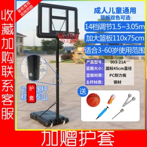 篮球架儿童户外室内篮球成人青少年可升降移动小孩篮框训练家用
