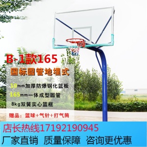 移动篮球架户外成人学校家用训练比赛标准室外可升降落地式篮球架 蓝色