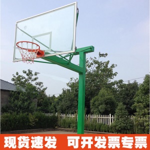 函翔成人篮球架户外体育馆学校 家用移动标准比赛户外篮球架